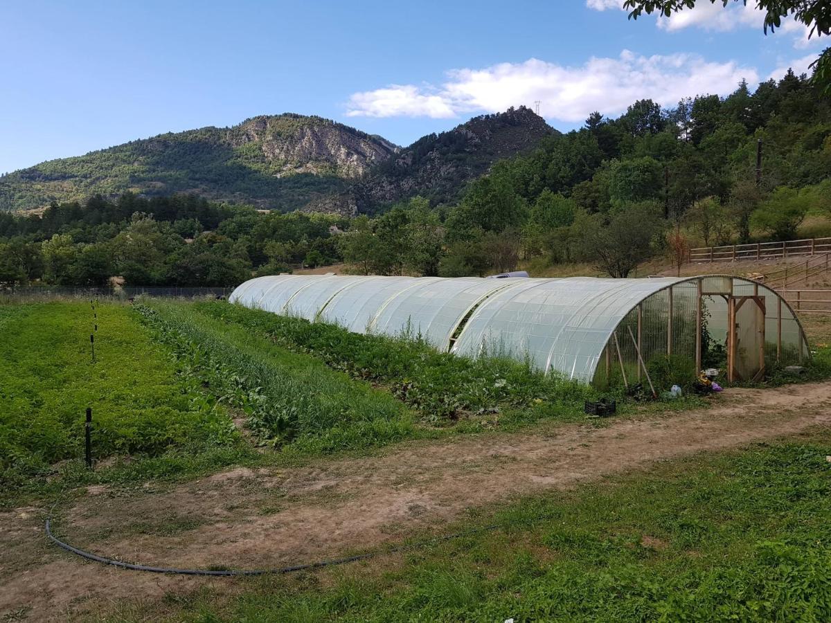 Camping La Ferme De Castellane Exterior foto
